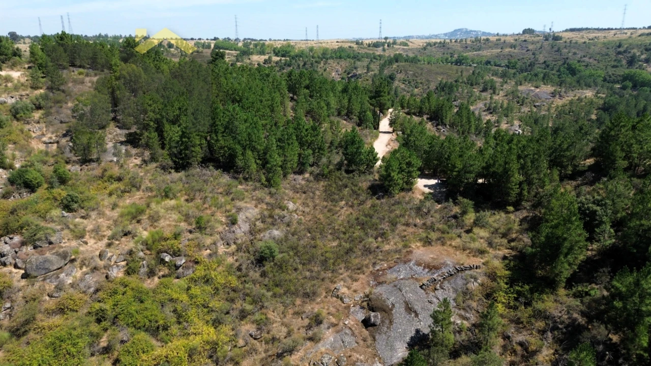 Terreno Agricola ou Rústico para Venda em Póvoa de Rio de Moinhos e Cafede Foto 4