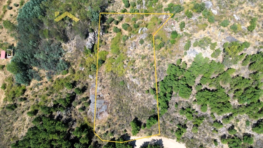 Terreno Agricola ou Rústico para Venda em Póvoa de Rio de Moinhos e Cafede Foto 2