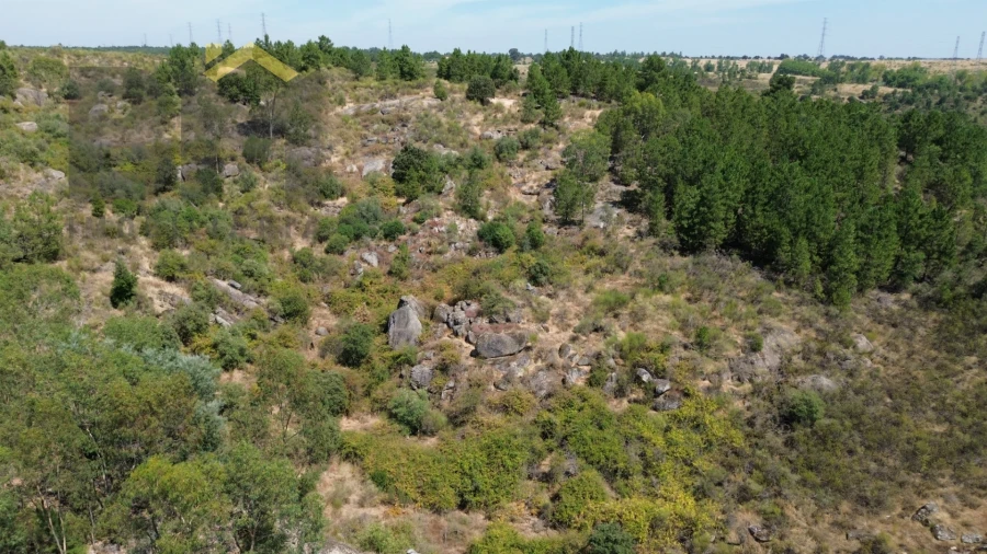 Terreno Agricola ou Rústico para Venda em Póvoa de Rio de Moinhos e Cafede Foto 5