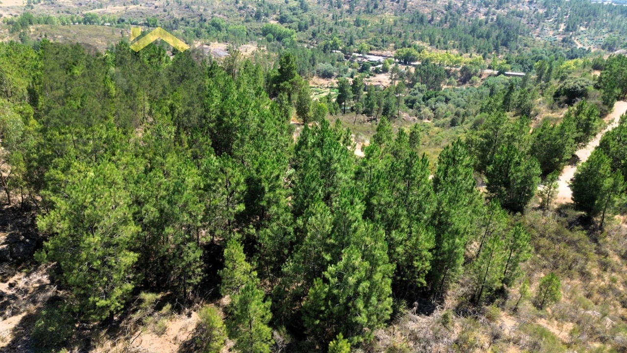 Terreno Agricola ou Rústico para Venda em Póvoa de Rio de Moinhos e Cafede Foto 6