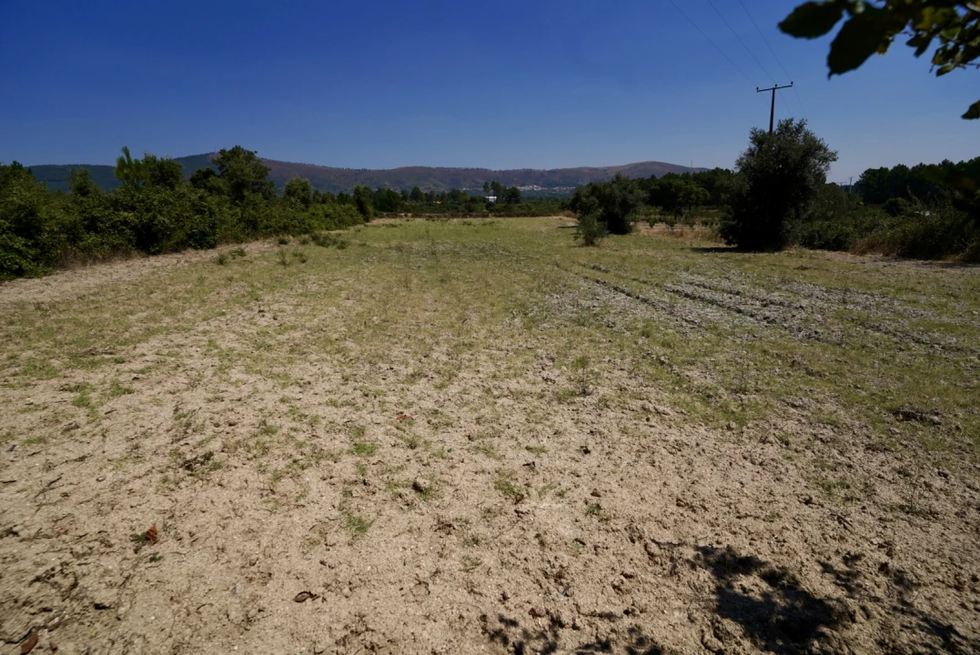 Moradia T3 para Venda em Vale de Prazeres e Mata da Rainha Foto 55