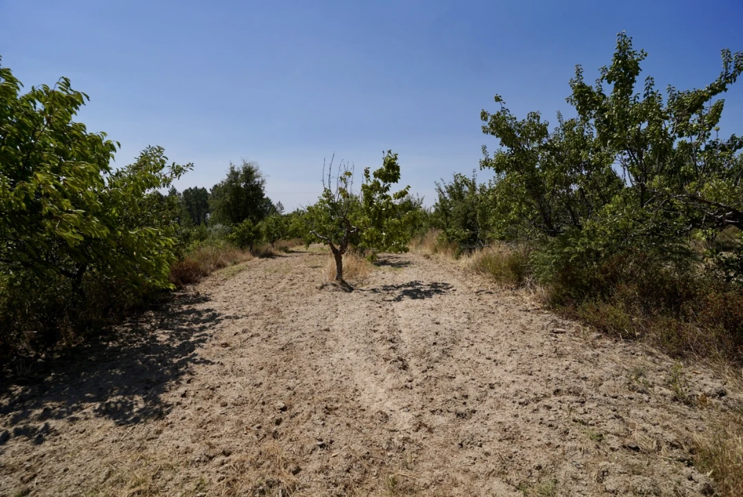 Moradia T3 para Venda em Vale de Prazeres e Mata da Rainha Foto 60