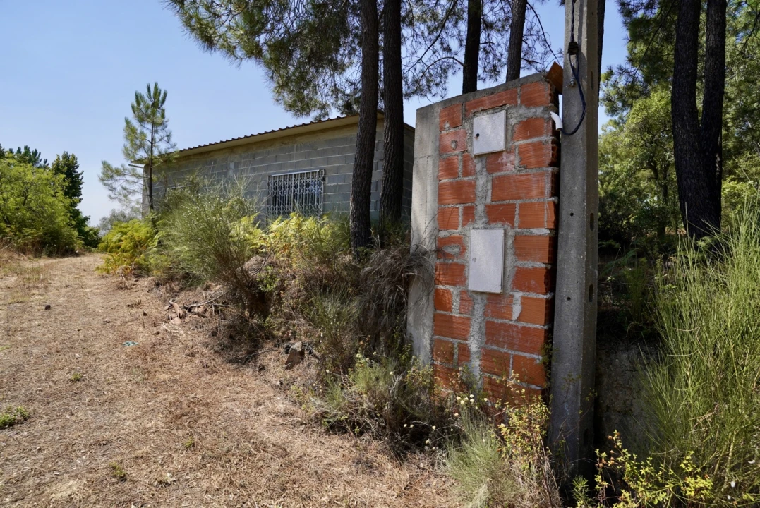 Moradia T3 para Venda em Vale de Prazeres e Mata da Rainha Foto 65