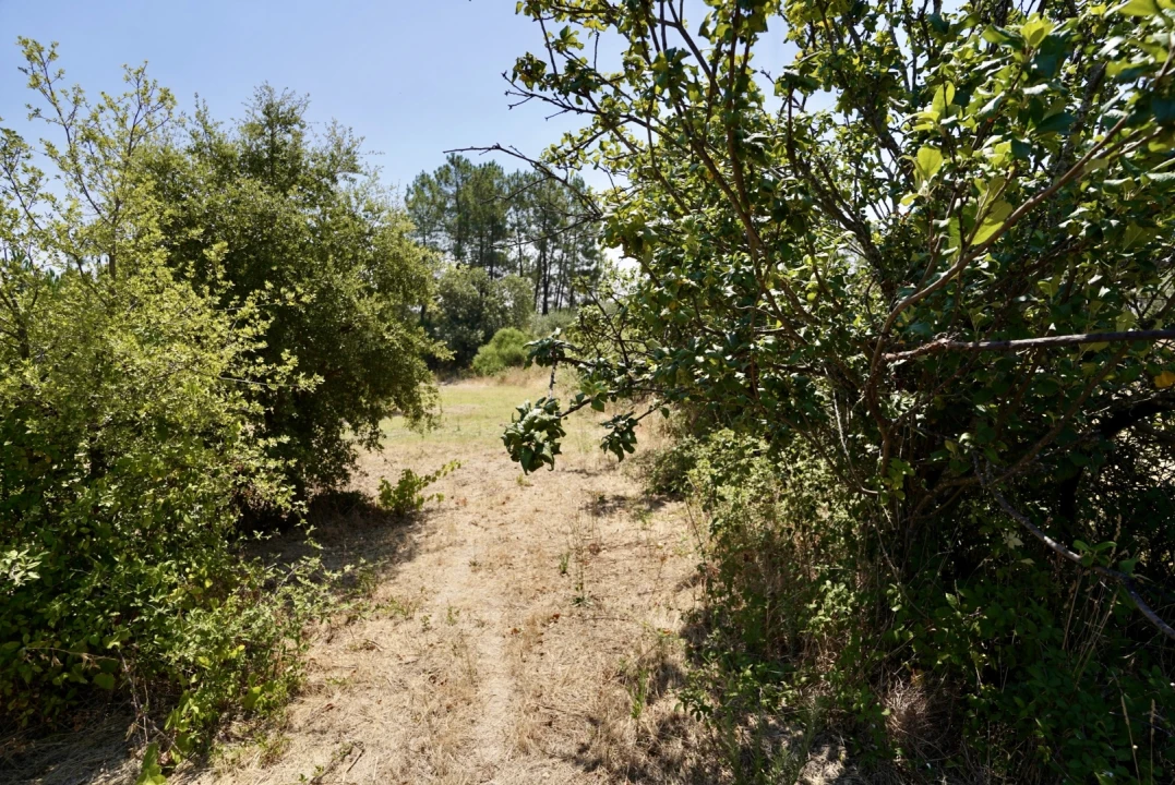 Moradia T3 para Venda em Vale de Prazeres e Mata da Rainha Foto 54