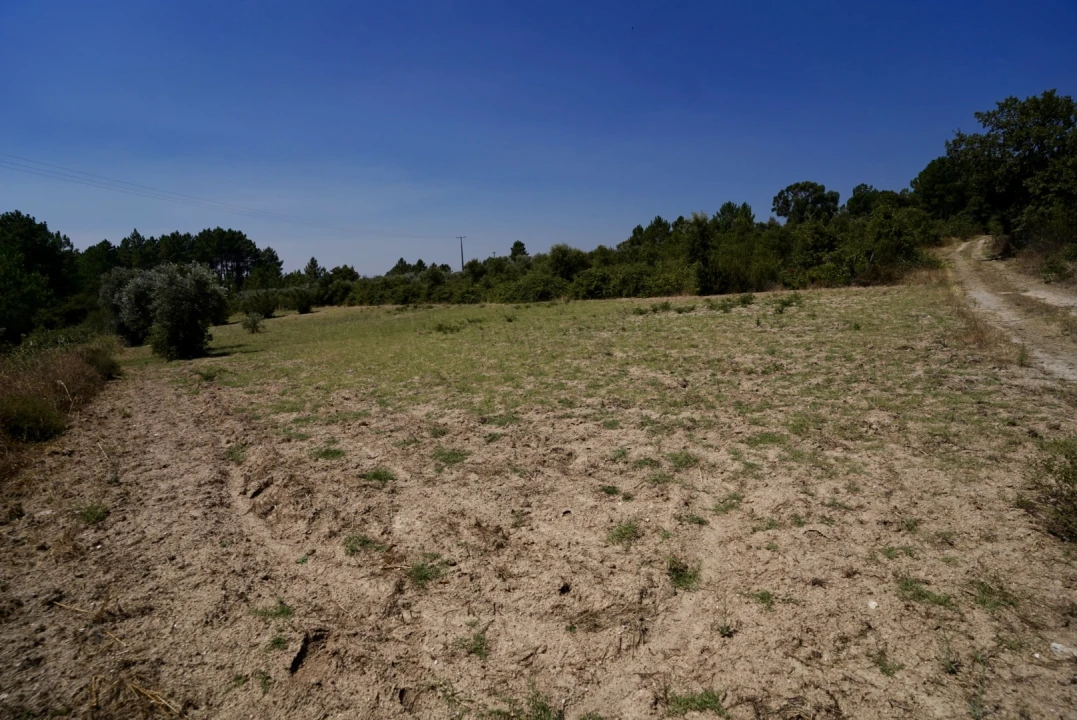 Moradia T3 para Venda em Vale de Prazeres e Mata da Rainha Foto 56