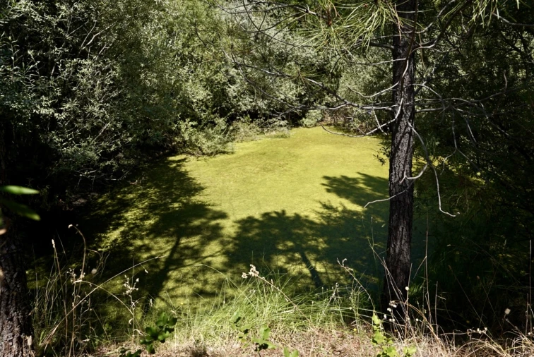 Moradia T3 para Venda em Vale de Prazeres e Mata da Rainha Foto 45