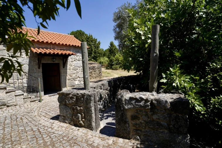 Moradia T3 para Venda em Vale de Prazeres e Mata da Rainha Foto 37