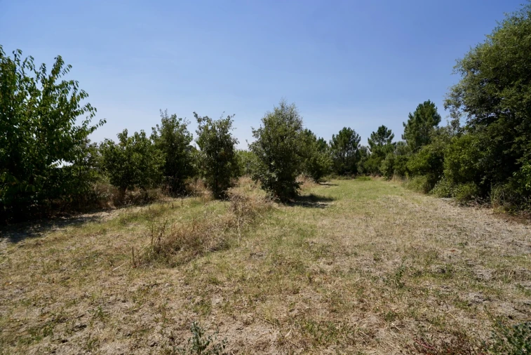 Moradia T3 para Venda em Vale de Prazeres e Mata da Rainha Foto 62