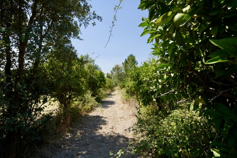 Moradia T3 para Venda em Vale de Prazeres e Mata da Rainha Foto 63