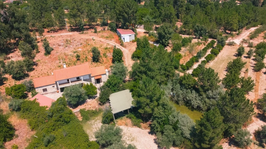 Moradia T3 para Venda em Vale de Prazeres e Mata da Rainha Foto 3