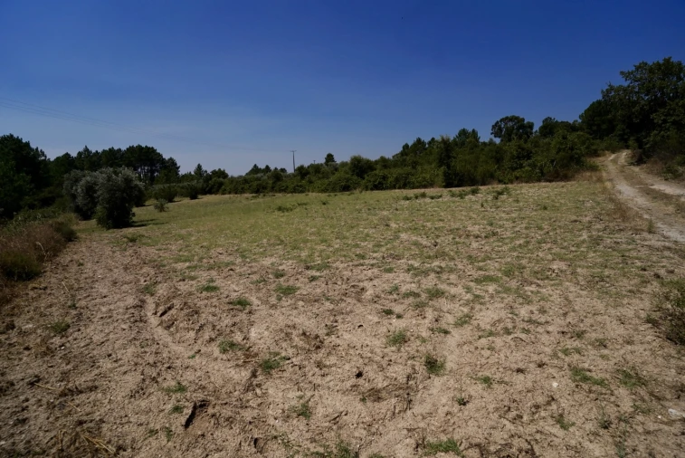 Moradia T3 para Venda em Vale de Prazeres e Mata da Rainha Foto 56