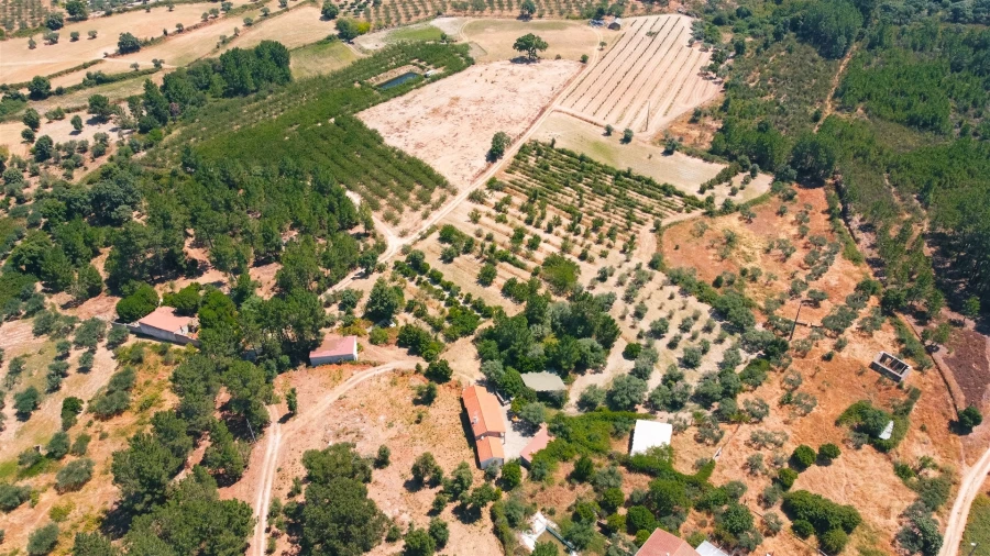 Moradia T3 para Venda em Vale de Prazeres e Mata da Rainha Foto 79