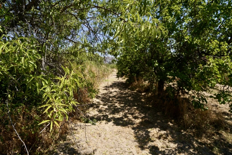 Moradia T3 para Venda em Vale de Prazeres e Mata da Rainha Foto 48