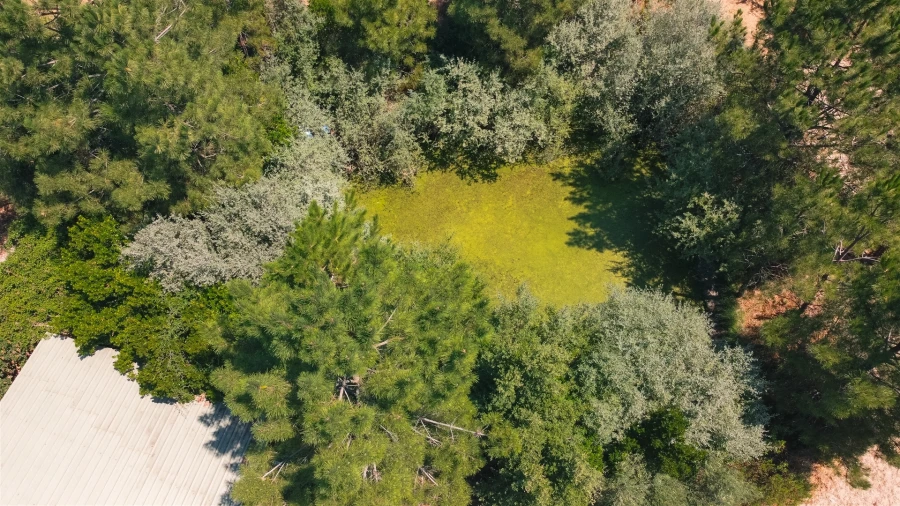 Moradia T3 para Venda em Vale de Prazeres e Mata da Rainha Foto 44