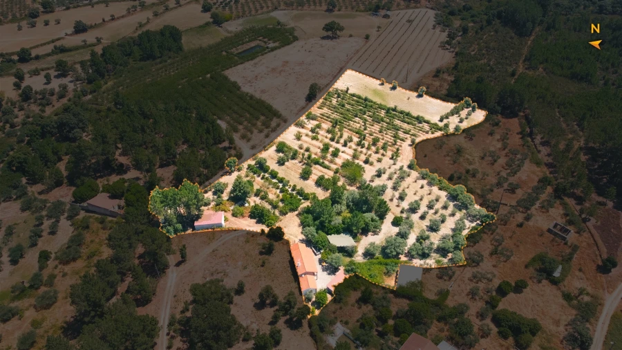 Moradia T3 para Venda em Vale de Prazeres e Mata da Rainha Foto 76