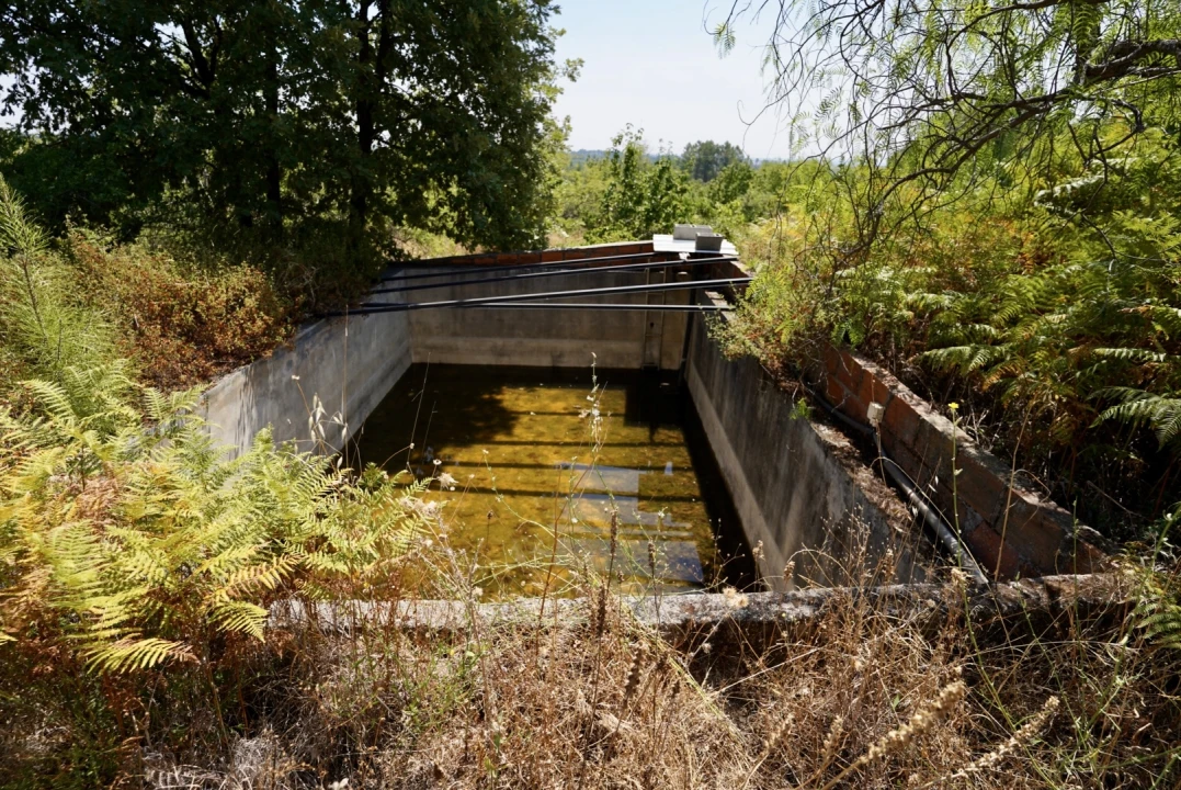 Moradia T3 para Venda em Vale de Prazeres e Mata da Rainha Foto 67