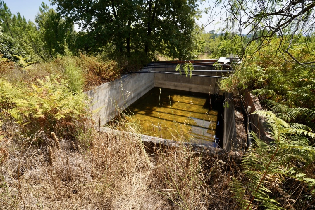 Moradia T3 para Venda em Vale de Prazeres e Mata da Rainha Foto 66