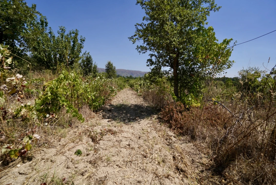 Moradia T3 para Venda em Vale de Prazeres e Mata da Rainha Foto 52