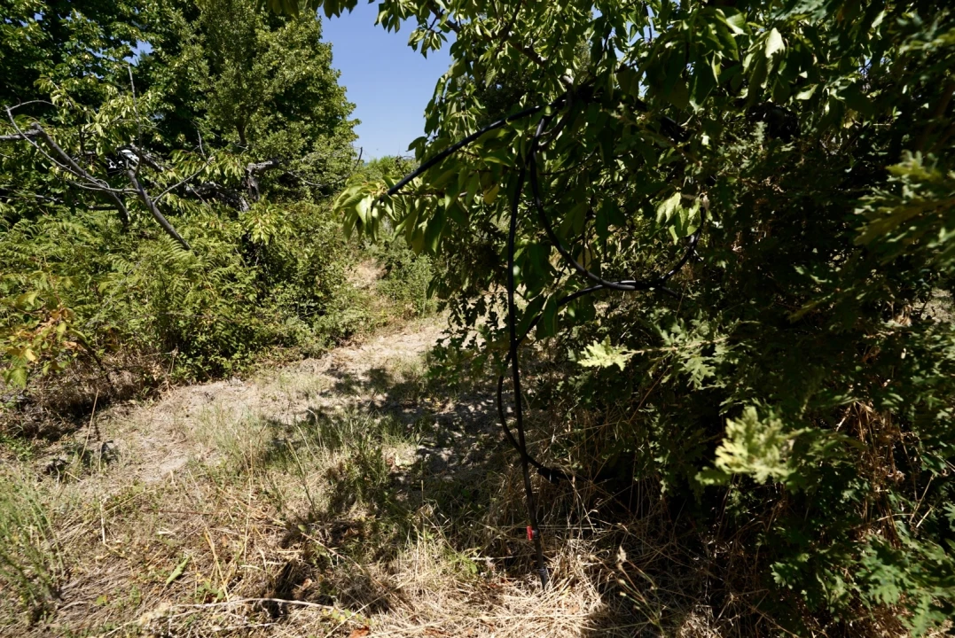 Moradia T3 para Venda em Vale de Prazeres e Mata da Rainha Foto 72