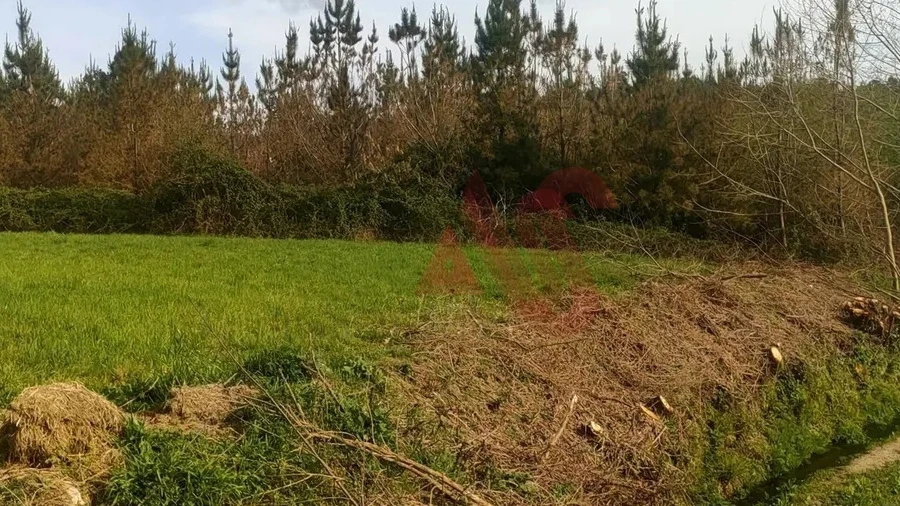 Terreno Agricola ou Rústico para Venda em Ardegão, Arnozela e Seidões