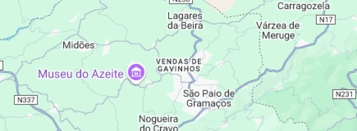 Moradia T3 para Venda em Travanca de Lagos Foto 40