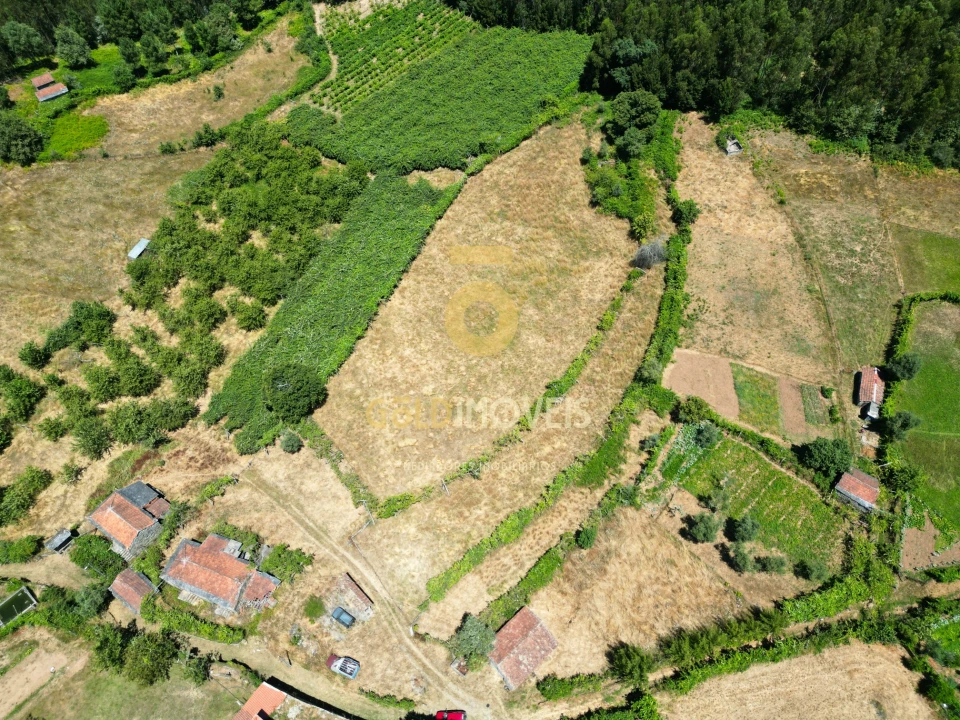 Quinta T4 para Venda em Fornelos Foto 4