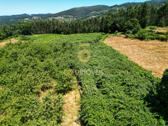 Quinta T4 para Venda em Fornelos Foto 10