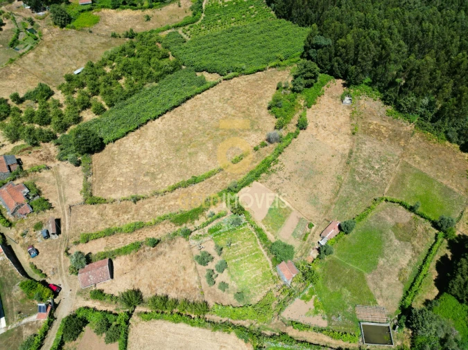 Quinta T4 para Venda em Fornelos Foto 5