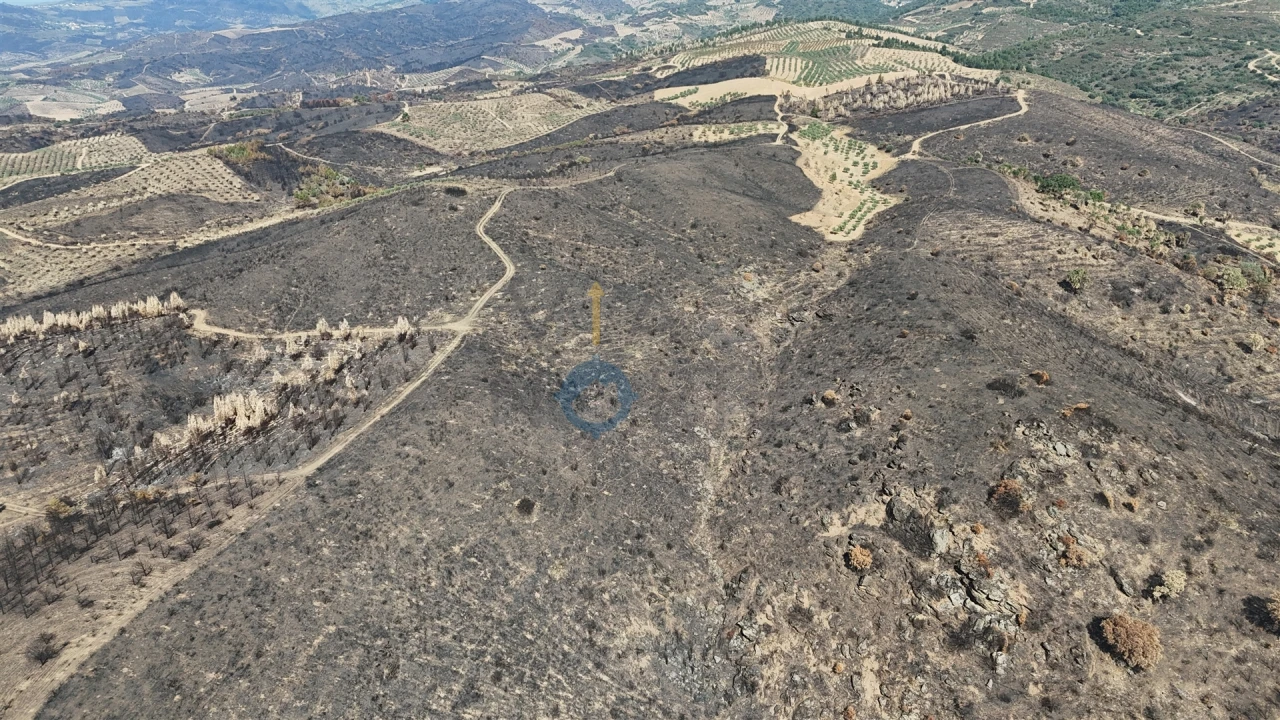 Terreno Agricola ou Rústico para Venda em Eucisia, Gouveia e Valverde Foto 6