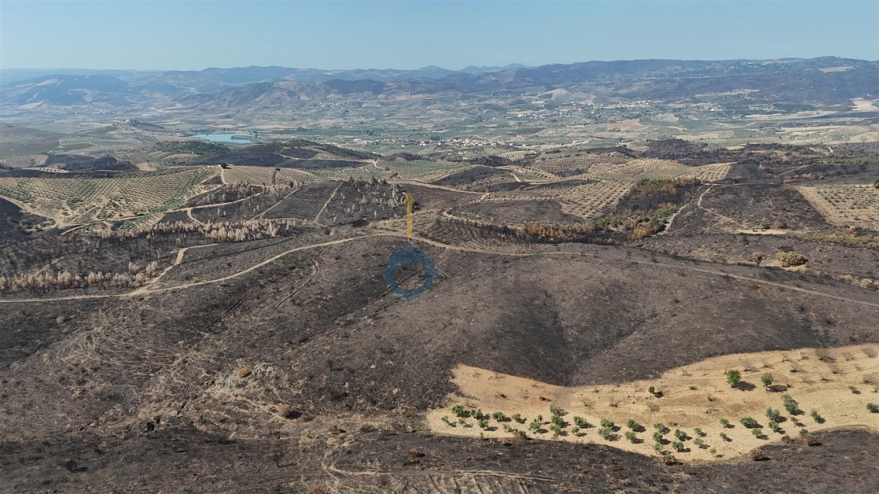 Terreno Agricola ou Rústico para Venda em Eucisia, Gouveia e Valverde Foto 14
