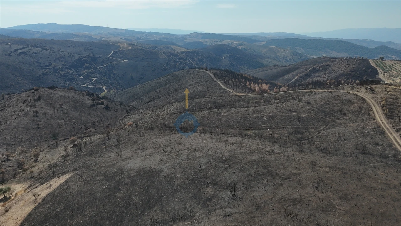 Terreno Agricola ou Rústico para Venda em Eucisia, Gouveia e Valverde Foto 12