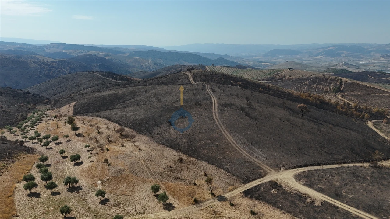 Terreno Agricola ou Rústico para Venda em Eucisia, Gouveia e Valverde Foto 11