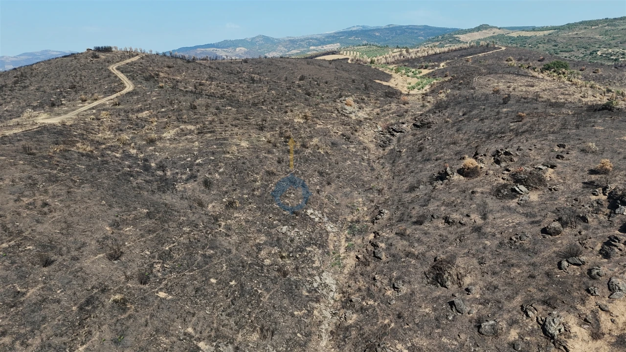 Terreno Agricola ou Rústico para Venda em Eucisia, Gouveia e Valverde Foto 9