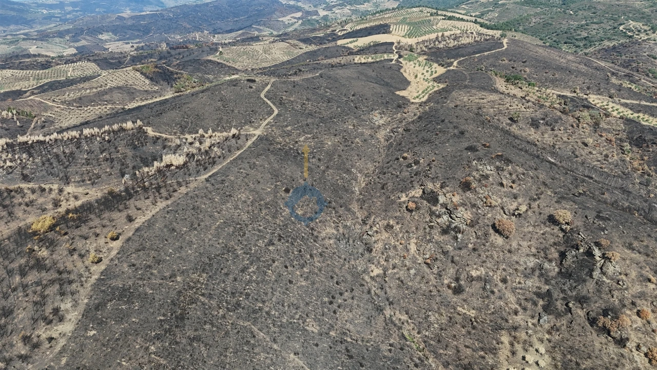 Terreno Agricola ou Rústico para Venda em Eucisia, Gouveia e Valverde Foto 7