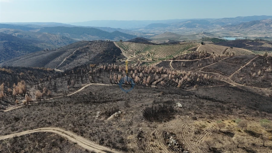 Terreno Agricola ou Rústico para Venda em Eucisia, Gouveia e Valverde Foto 13