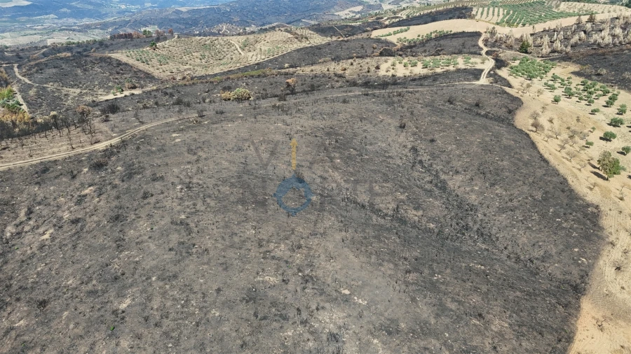 Terreno Agricola ou Rústico para Venda em Eucisia, Gouveia e Valverde Foto 10
