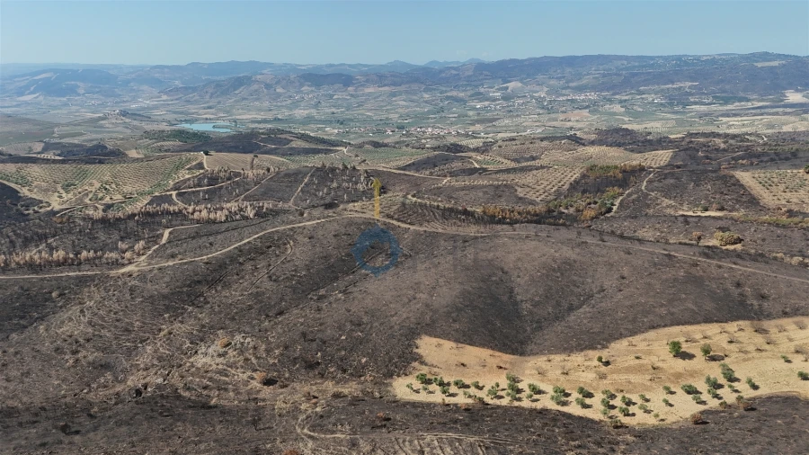 Terreno Agricola ou Rústico para Venda em Eucisia, Gouveia e Valverde Foto 14