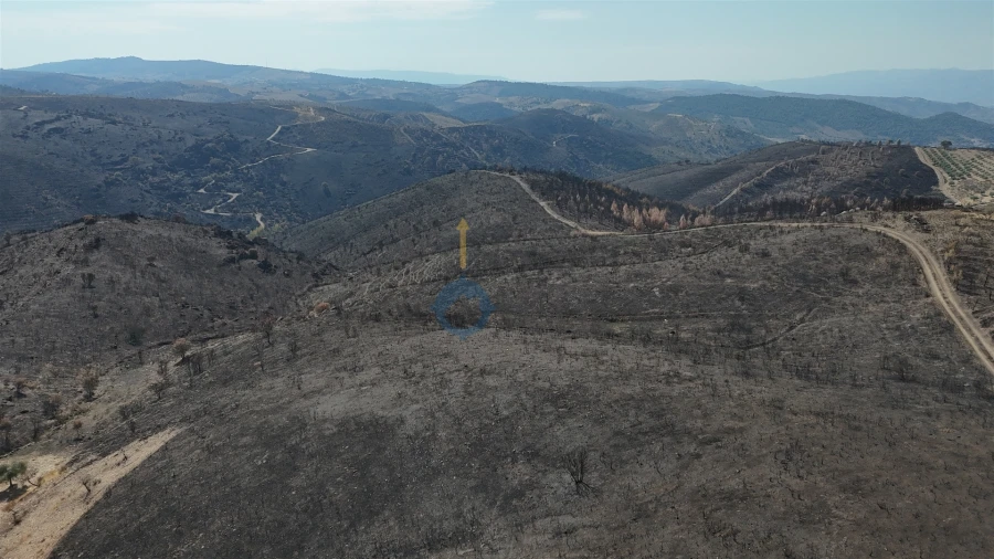 Terreno Agricola ou Rústico para Venda em Eucisia, Gouveia e Valverde Foto 12