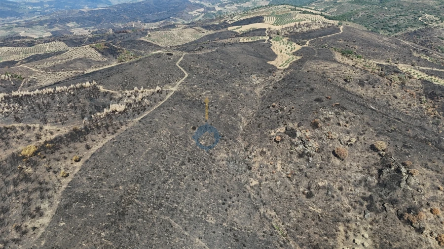 Terreno Agricola ou Rústico para Venda em Eucisia, Gouveia e Valverde Foto 7
