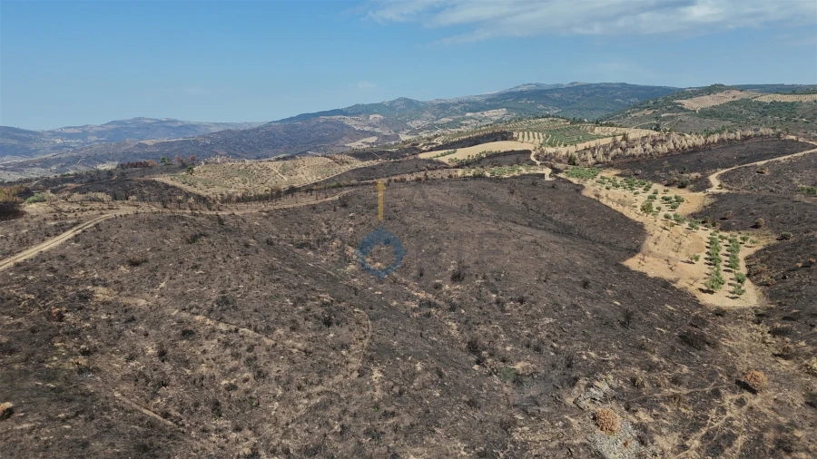 Terreno Agricola ou Rústico para Venda em Eucisia, Gouveia e Valverde Foto 1