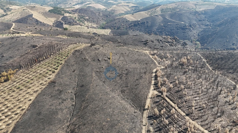 Terreno Agricola ou Rústico para Venda em Eucisia, Gouveia e Valverde Foto 4