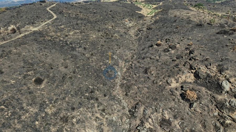 Terreno Agricola ou Rústico para Venda em Eucisia, Gouveia e Valverde Foto 8