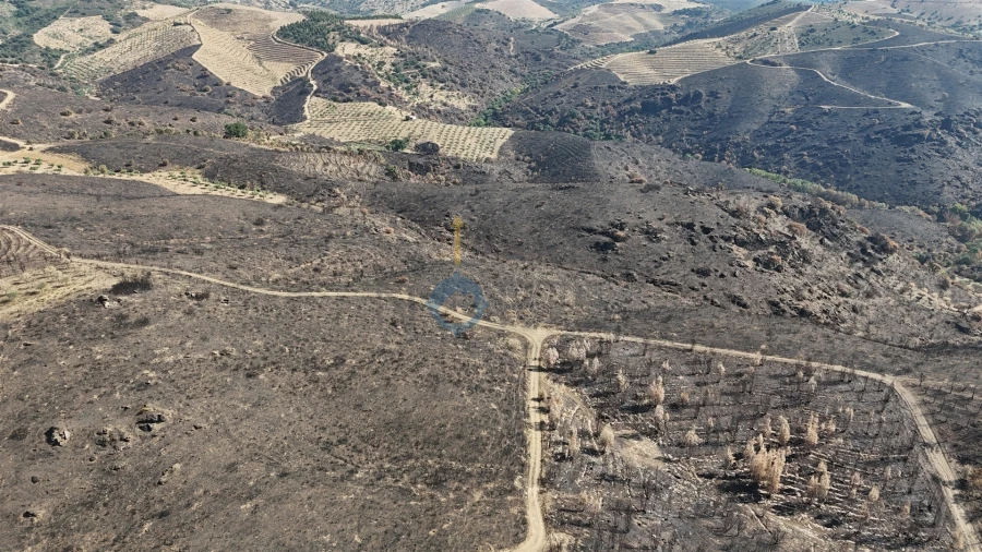 Terreno Agricola ou Rústico para Venda em Eucisia, Gouveia e Valverde Foto 5