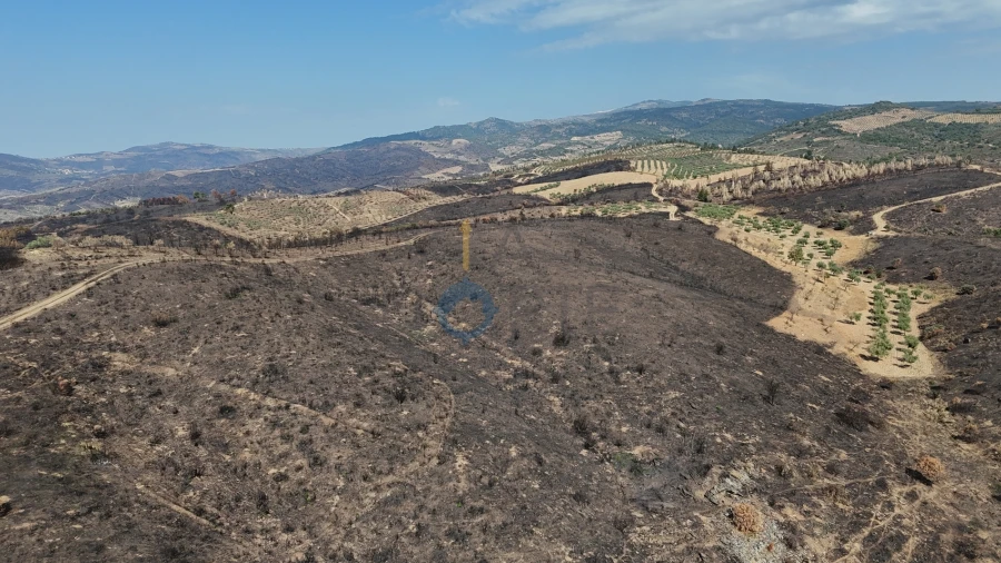Terreno Agricola ou Rústico para Venda em Eucisia, Gouveia e Valverde