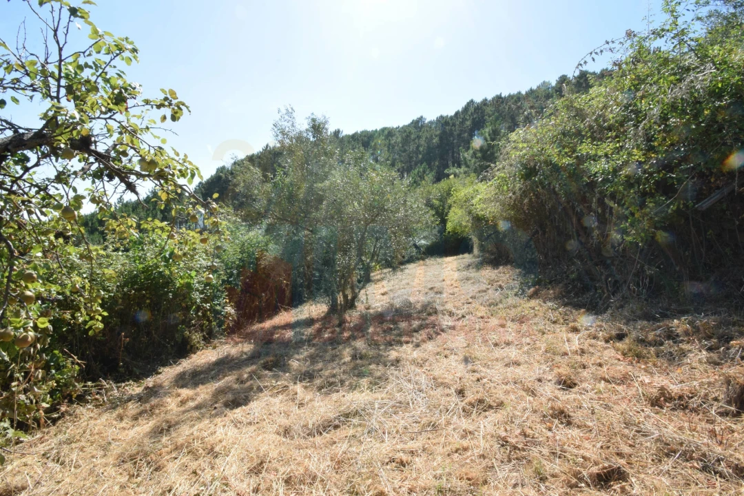 Moradia T3 para Venda em Teixoso e Sarzedo Foto 23