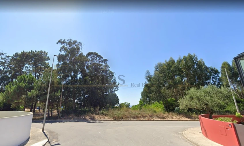 Terreno para Venda em Arvore Foto 2