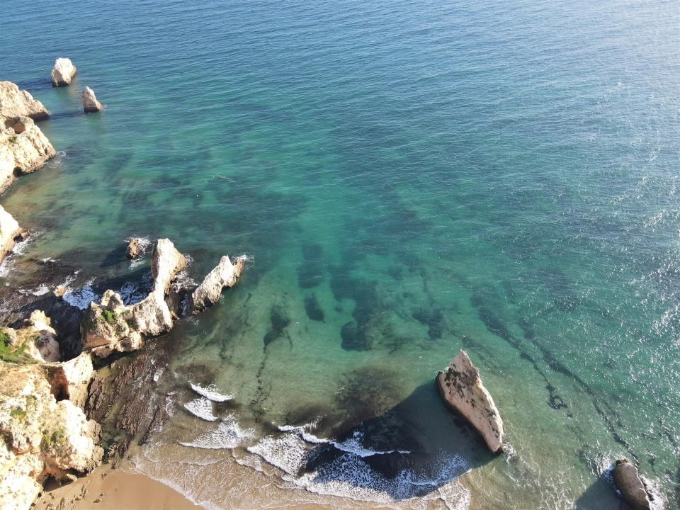Terreno para Venda em Alvor Foto 20