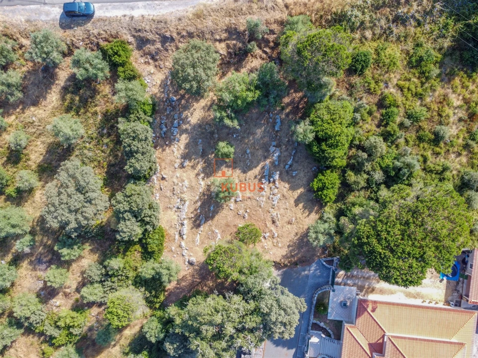 Terreno para Venda em Minde Foto 1