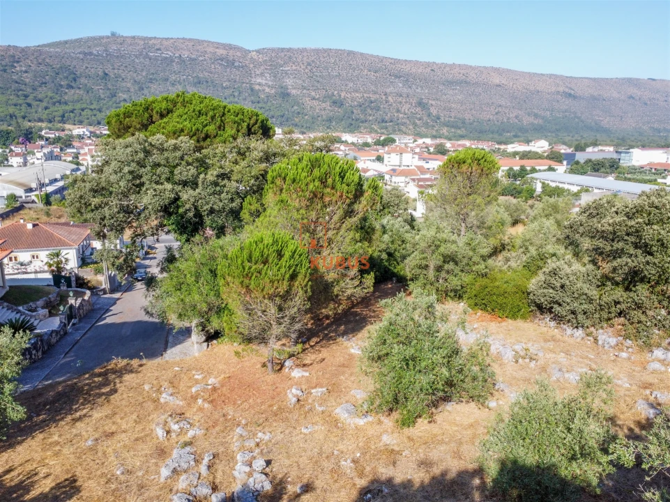 Terreno para Venda em Minde Foto 4