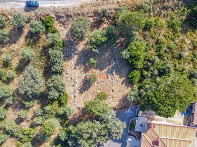 Terreno para Venda em Minde Foto 1